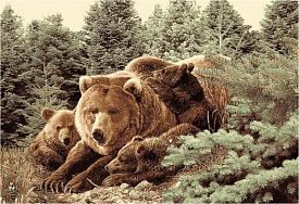 Ковер с рисунками Фауна 50633 Медведь